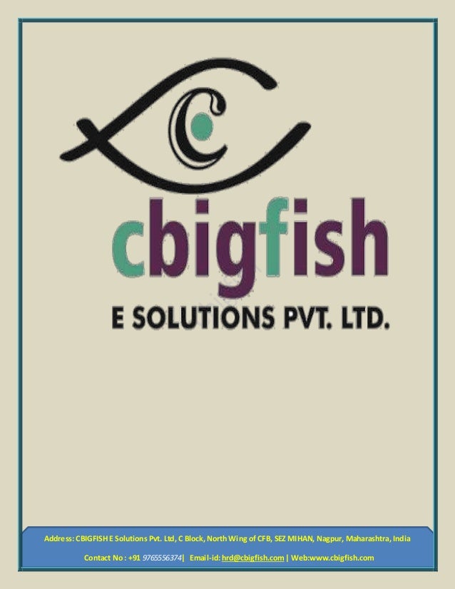 Cbigfish E Solutions The Best Web Application Software Service Pr 