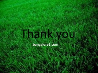 Thank you
bangalore5.com
 