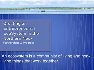 Partnerships & Progress
An ecosystem is a community of living and non-
living things that work together.
 