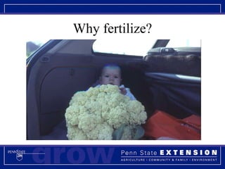 Why fertilize? 