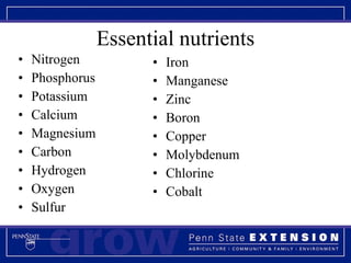 Essential nutrients Nitrogen Phosphorus Potassium Calcium Magnesium Carbon  Hydrogen Oxygen Sulfur Iron Manganese Zinc Boron Copper Molybdenum Chlorine Cobalt 