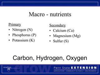 Macro - nutrients Primary Nitrogen (N) Phosphorus (P) Potassium (K) Secondary Calcium (Ca) Magnesium (Mg) Sulfur (S) Carbon, Hydrogen, Oxygen 
