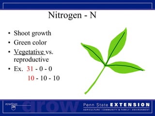 Nitrogen - N Shoot growth Green color Vegetative  vs. reproductive Ex.  31  - 0 - 0 10  - 10 - 10 