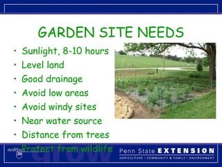 GARDEN SITE NEEDS Sunlight, 8-10 hours Level land Good drainage Avoid low areas Avoid windy sites Near water source Distance from trees Protect from wildlife 