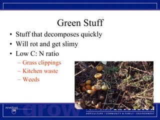 Green Stuff Stuff that decomposes quickly Will rot and get slimy Low C: N ratio Grass clippings Kitchen waste Weeds 