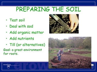 PREPARING THE SOIL Test soil Deal with sod Add organic matter Add nutrients Till (or alternatives) Goal: a great environment for roots . 