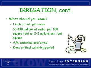 IRRIGATION, cont. What should you know? 1 inch of rain per week 65-130 gallons of water per 100 square feet or 2-3 gallons per foot square A.M. watering preferred Know critical watering period 