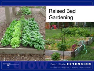 Raised Bed Gardening 
