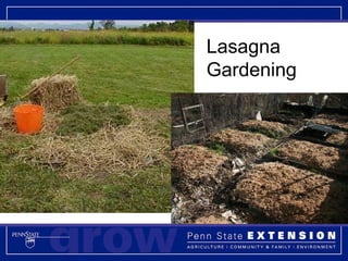 Lasagna Gardening 