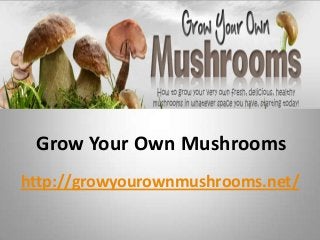 Grow Your Own Mushrooms
http://growyourownmushrooms.net/
 