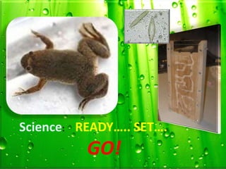 Science: READY….. SET….
          GO!
 