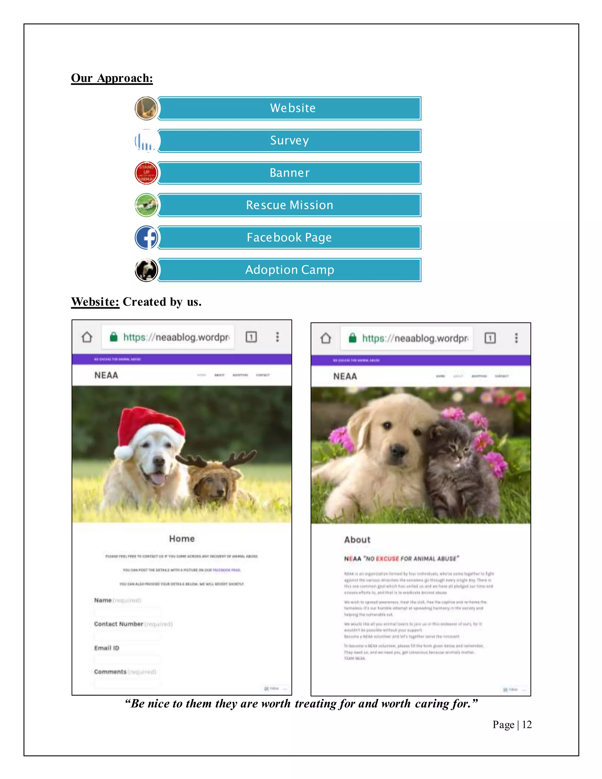 “Be nice to them they are worth treating for and worth caring for.”
Page | 12
Our Approach:
Website: Created by us.
Website
Survey
Banner
Rescue Mission
Facebook Page
Adoption Camp
 