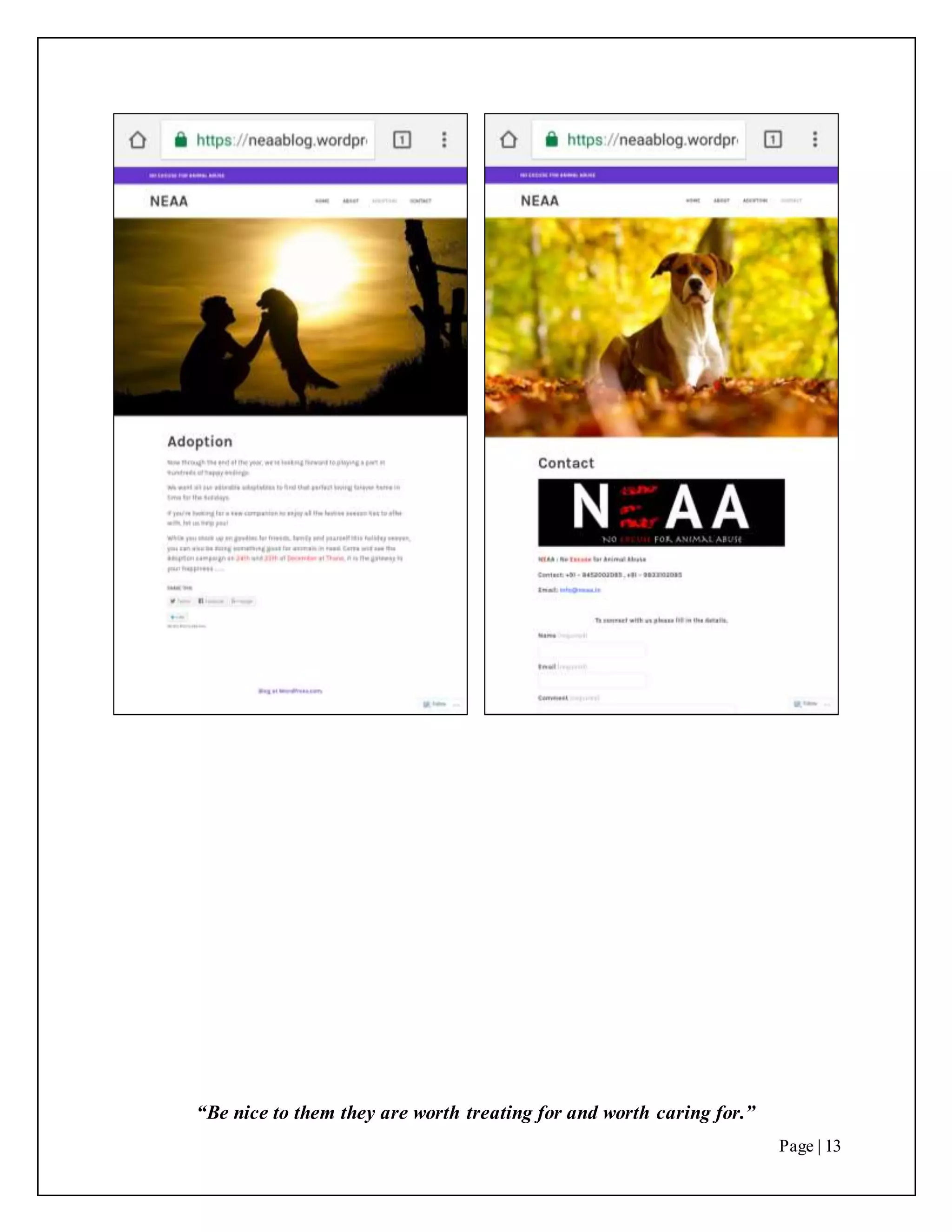 “Be nice to them they are worth treating for and worth caring for.”
Page | 13
 