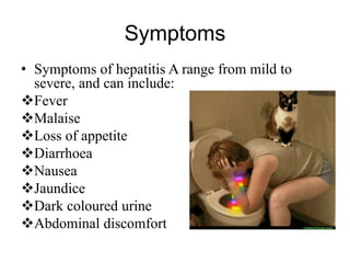 Symptoms
• Symptoms of hepatitis A range from mild to
severe, and can include:
Fever
Malaise
Loss of appetite
Diarrhoea
Nausea
Jaundice
Dark coloured urine
Abdominal discomfort
 