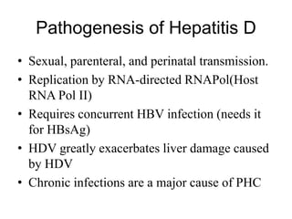 Pathogenesis of Hepatitis D
• Sexual, parenteral, and perinatal transmission.
• Replication by RNA-directed RNAPol(Host
RNA Pol II)
• Requires concurrent HBV infection (needs it
for HBsAg)
• HDV greatly exacerbates liver damage caused
by HDV
• Chronic infections are a major cause of PHC
 