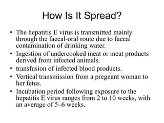 How Is It Spread?
• The hepatitis E virus is transmitted mainly
through the faecal-oral route due to faecal
contamination of drinking water.
• Ingestion of undercooked meat or meat products
derived from infected animals.
• transfusion of infected blood products.
• Vertical transmission from a pregnant woman to
her fetus.
• Incubation period following exposure to the
hepatitis E virus ranges from 2 to 10 weeks, with
an average of 5–6 weeks.
 