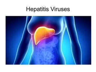 Hepatitis Viruses
 