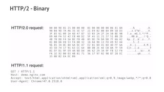 HTTP/2 - Binary
 
