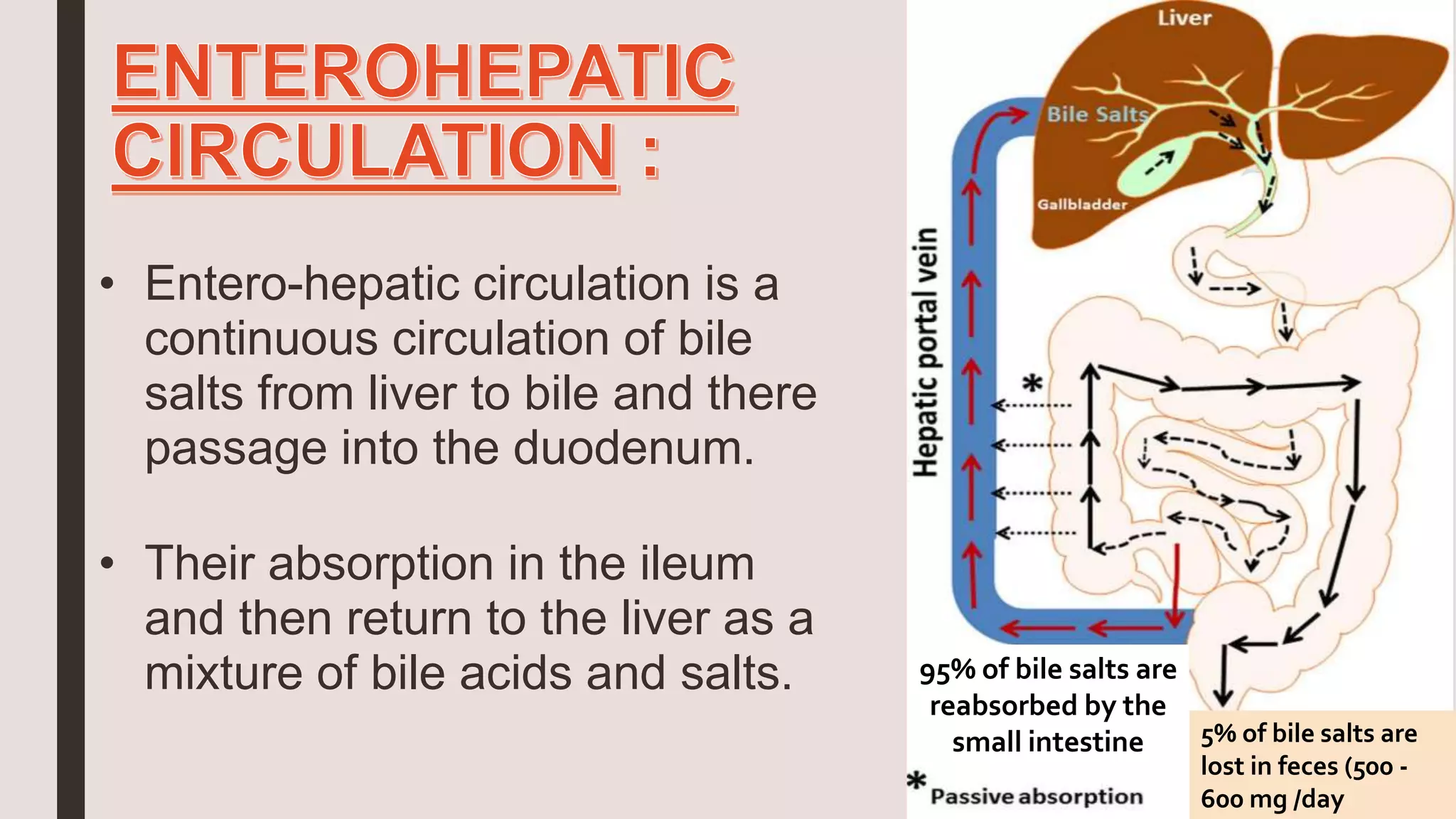• Entero-hepatic circulation is a
continuous circulation of bile
salts from liver to bile and there
passage into the duodenum.
• Their absorption in the ileum
and then return to the liver as a
mixture of bile acids and salts. 95% of bile salts are
reabsorbed by the
small intestine 5% of bile salts are
lost in feces (500 -
600 mg /day
 