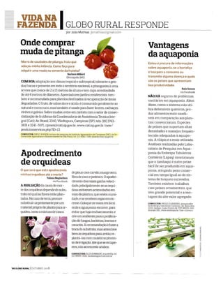Revista Globo Rural - Globo Rural Responde