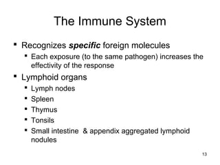 13
The Immune System
 Recognizes specific foreign molecules
 Each exposure (to the same pathogen) increases the
effectivity of the response
 Lymphoid organs
 Lymph nodes
 Spleen
 Thymus
 Tonsils
 Small intestine & appendix aggregated lymphoid
nodules
 