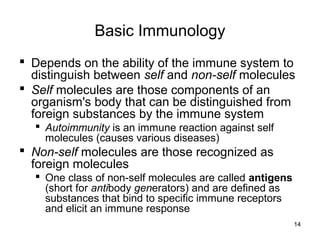 14
Basic Immunology
 Depends on the ability of the immune system to
distinguish between self and non-self molecules
 Self molecules are those components of an
organism's body that can be distinguished from
foreign substances by the immune system
 Autoimmunity is an immune reaction against self
molecules (causes various diseases)
 Non-self molecules are those recognized as
foreign molecules
 One class of non-self molecules are called antigens
(short for antibody generators) and are defined as
substances that bind to specific immune receptors
and elicit an immune response
 