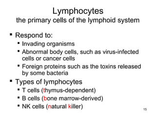 15
Lymphocytes
the primary cells of the lymphoid system
 Respond to:
 Invading organisms
 Abnormal body cells, such as virus-infected
cells or cancer cells
 Foreign proteins such as the toxins released
by some bacteria
 Types of lymphocytes
 T cells (thymus-dependent)
 B cells (bone marrow-derived)
 NK cells (natural killer)
 
