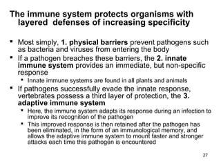 27
The immune system protects organisms with
layered defenses of increasing specificity
 Most simply, 1. physical barriers prevent pathogens such
as bacteria and viruses from entering the body
 If a pathogen breaches these barriers, the 2. innate
immune system provides an immediate, but non-specific
response
 Innate immune systems are found in all plants and animals
 If pathogens successfully evade the innate response,
vertebrates possess a third layer of protection, the 3.
adaptive immune system
 Here, the immune system adapts its response during an infection to
improve its recognition of the pathogen
 This improved response is then retained after the pathogen has
been eliminated, in the form of an immunological memory, and
allows the adaptive immune system to mount faster and stronger
attacks each time this pathogen is encountered
 