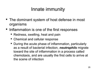 29
Innate immunity
 The dominant system of host defense in most
organisms
 Inflammation is one of the first responses
 Redness, swelling, heat and pain
 Chemical and cellular response
 During the acute phase of inflammation, particularly
as a result of bacterial infection, neutrophils migrate
toward the site of inflammation in a process called
chemotaxis, and are usually the first cells to arrive at
the scene of infection
 