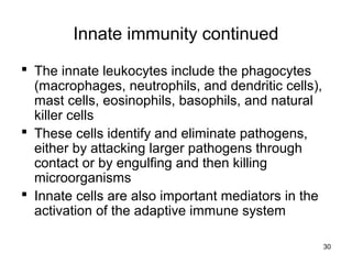 30
Innate immunity continued
 The innate leukocytes include the phagocytes
(macrophages, neutrophils, and dendritic cells),
mast cells, eosinophils, basophils, and natural
killer cells
 These cells identify and eliminate pathogens,
either by attacking larger pathogens through
contact or by engulfing and then killing
microorganisms
 Innate cells are also important mediators in the
activation of the adaptive immune system
 