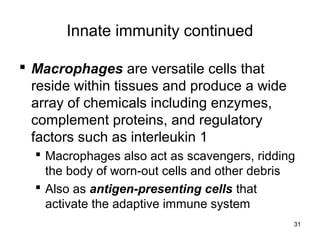 31
Innate immunity continued
 Macrophages are versatile cells that
reside within tissues and produce a wide
array of chemicals including enzymes,
complement proteins, and regulatory
factors such as interleukin 1
 Macrophages also act as scavengers, ridding
the body of worn-out cells and other debris
 Also as antigen-presenting cells that
activate the adaptive immune system
 
