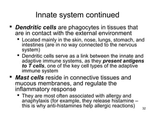 32
Innate system continued
 Dendritic cells are phagocytes in tissues that
are in contact with the external environment
 Located mainly in the skin, nose, lungs, stomach, and
intestines (are in no way connected to the nervous
system)
 Dendritic cells serve as a link between the innate and
adaptive immune systems, as they present antigens
to T cells, one of the key cell types of the adaptive
immune system
 Mast cells reside in connective tissues and
mucous membranes, and regulate the
inflammatory response
 They are most often associated with allergy and
anaphylaxis (for example, they release histamine –
this is why anti-histamines help allergic reactions)
 
