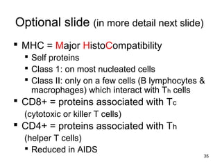35
Optional slide (in more detail next slide)
 MHC = Major HistoCompatibility
 Self proteins
 Class 1: on most nucleated cells
 Class II: only on a few cells (B lymphocytes &
macrophages) which interact with Th cells
 CD8+ = proteins associated with Tc
(cytotoxic or killer T cells)
 CD4+ = proteins associated with Th
(helper T cells)
 Reduced in AIDS
 