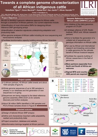 www.postersession.com
www.postersession.com
Towards a complete genome characterization
of all African indigenous cattle
*Abdulfatai Tijjani1,3, Karen Marshal2,3, Heebal Kim4, Han Jianlin2,5, Olivier Hanotte1,3,6
*Contact : A.Tijjani@cgiar.org
1ILRI - Addis Ababa, Ethiopia, 2ILRI - Nairobi, Kenya, 3CTLGH, Roslin Institute, University of Edinburgh, Scotland, UK, 4Seoul National University, Seoul,
Republic of Korea, 5ILRI - CAAS Joint Laboratory on Livestock and Forage Genetic Resources, Beijing, China, 6University of Nottingham, Nottingham, UK
Project update
A
Genomic Reference resource for
African cattle (GRRFAC) project
❑An initiative of the dairy genomics
program of CTLGH
❑A strategic alliance of ILRI, Roslin
Institute, SRUC and African research
partners
❑Aims to facilitate the generation of a
collated set of sequences and
genotype information on African cattle
❑For use by African and international
research and breeding communities
in cattle genomics for the ultimate
benefit of African livestock keepers
❑Facilitate the capacity building of
African researchers in the field of
genomics
❑More partners especially from
North and South of Africa are
welcome
❑Signed MTA and country
ABS permit are required
B
❑13 African partners, 40 African cattle breeds and about
1500 samples (Figure A)
❑Whole genome sequences of up to 380 samples is
already in our database and the generation of new
sequences is on-going
❑Sequences are being mapped to the latest reference
genome assembly (ARS-UCD1.2) for variants
discovery and further analyses
❑About 38 million SNPs identified in 346 samples and
PCA of these samples shown in Figure B
Project Objectives
Expected outcome
❑Design of tailored African SNP array(s)
❑Define and characterize important cattle adaptability,
resilient and productivity traits
❑Project consortium, database and website
❑Bioinformatics trainings targeted at African partners
We aim to develop a genomic reference resource for African cattle
through a consortium of African partners. Our current objectives Include:
❑Identification of most informative SNPs for designing African
reference SNP genotyping arrays
❑Identification of selection signatures underpinning adaptation and
productivity traits
❑Pan-genome analyses of African cattle including de novo sequencing and
transcriptomic analyses
❑Facilitate bioinformatics capacity building among African Scientists
 