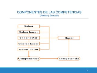 45
COMPONENTES DE LAS COMPETENCIAS
(Pereda y Berrocal)
 