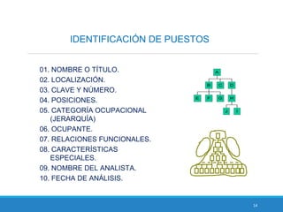14
IDENTIFICACIÓN DE PUESTOS
01. NOMBRE O TÍTULO.
02. LOCALIZACIÓN.
03. CLAVE Y NÚMERO.
04. POSICIONES.
05. CATEGORÍA OCUPACIONAL
(JERARQUÍA)
06. OCUPANTE.
07. RELACIONES FUNCIONALES.
08. CARACTERÍSTICAS
ESPECIALES.
09. NOMBRE DEL ANALISTA.
10. FECHA DE ANÁLISIS.
E F G
B C
J I
H
D
A
 