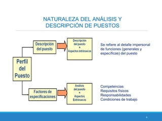 6
NATURALEZA DEL ANÁLISIS Y
DESCRIPCIÓN DE PUESTOS
Se refiere al detalle impersonal
de funciones (generales y
específicas) del puesto
Competencias
Requisitos físicos
Responsabilidades
Condiciones de trabajo
 