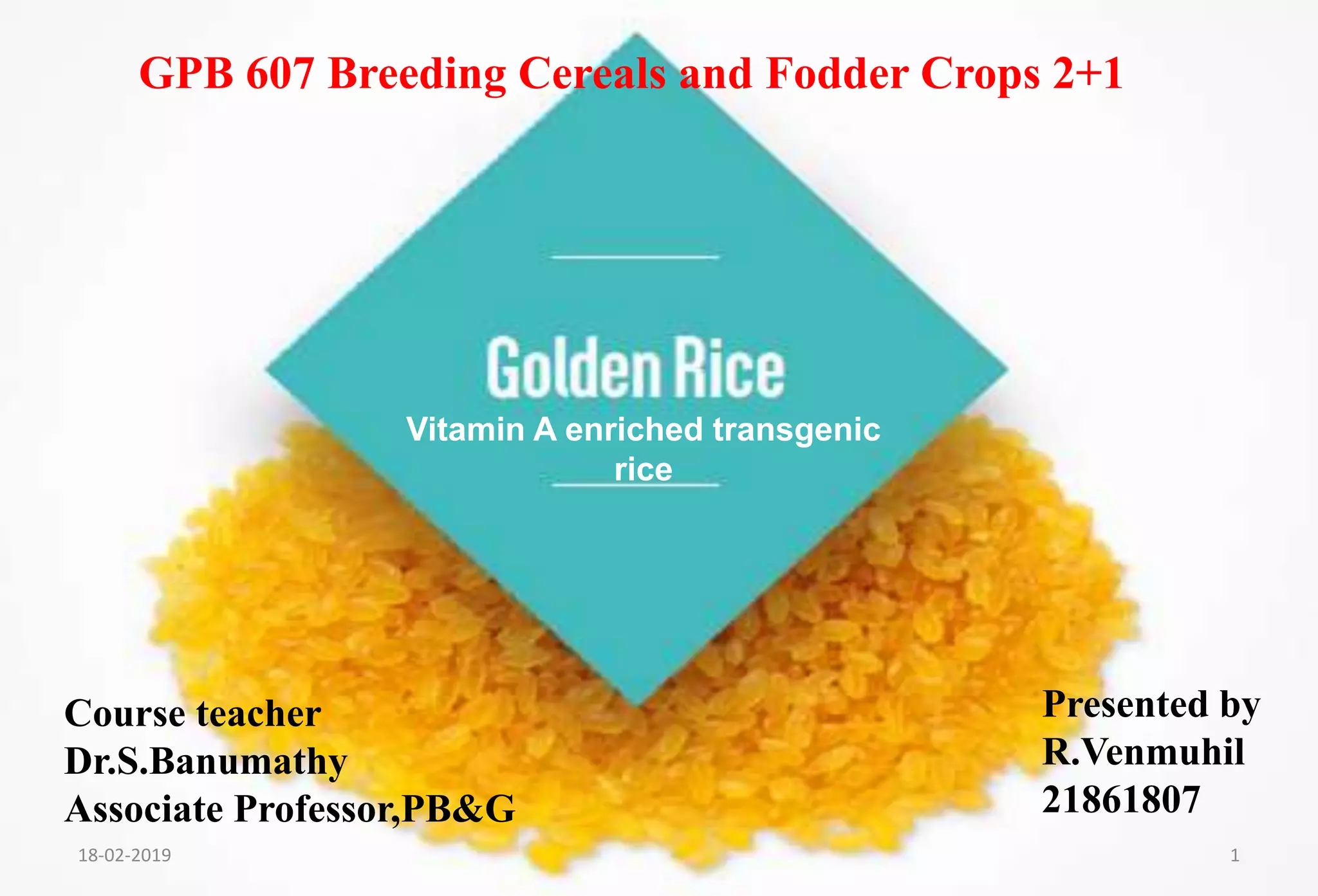 Golden rice , vit A enriched transgenic rice | PPTX