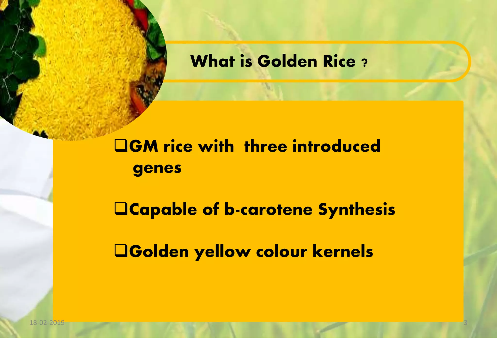 Golden Rice Vit A Enriched Transgenic Rice PPTX Golden Rice Vit A Enriched Transgenic Rice PPTX