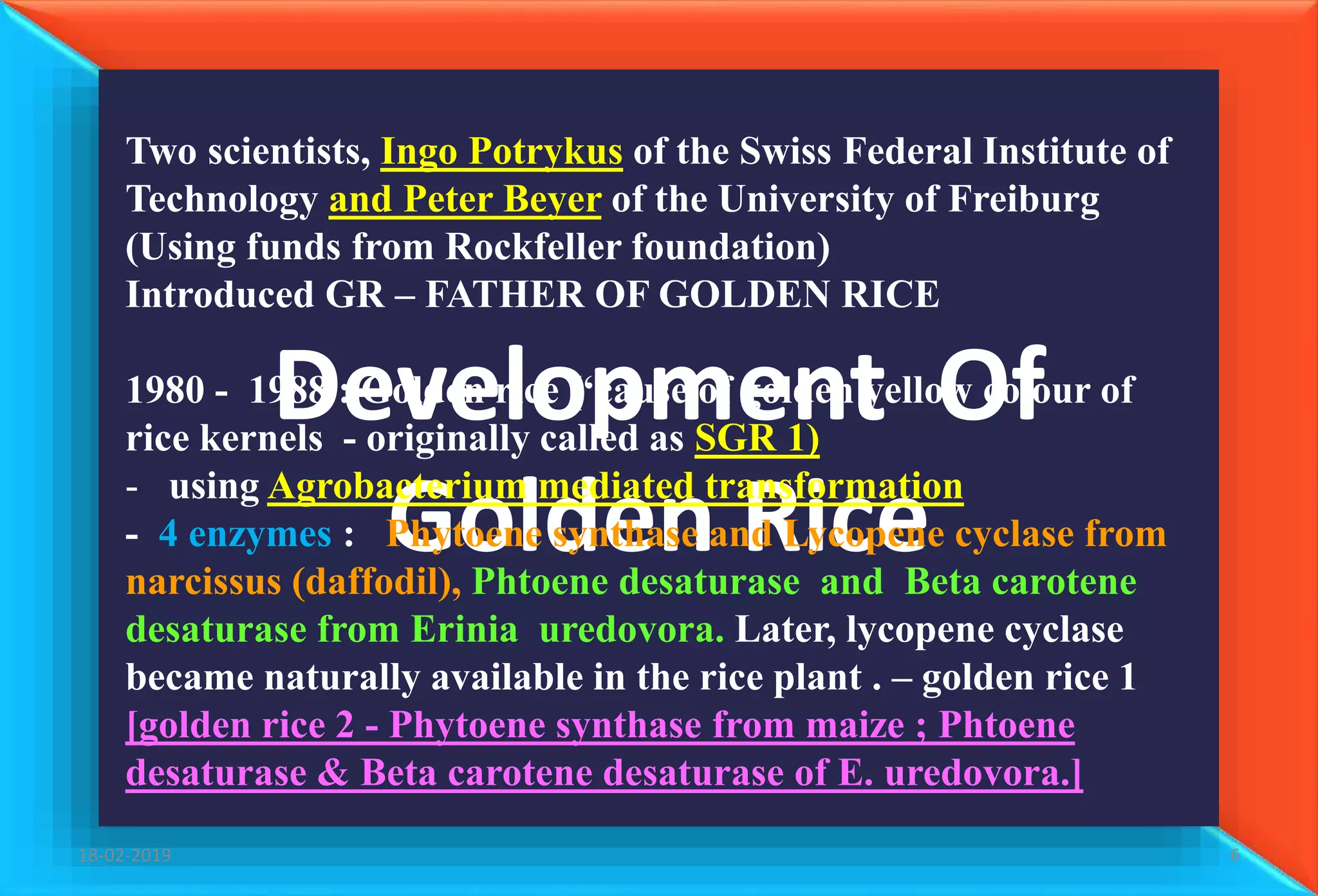 Golden rice , vit A enriched transgenic rice | PPTX