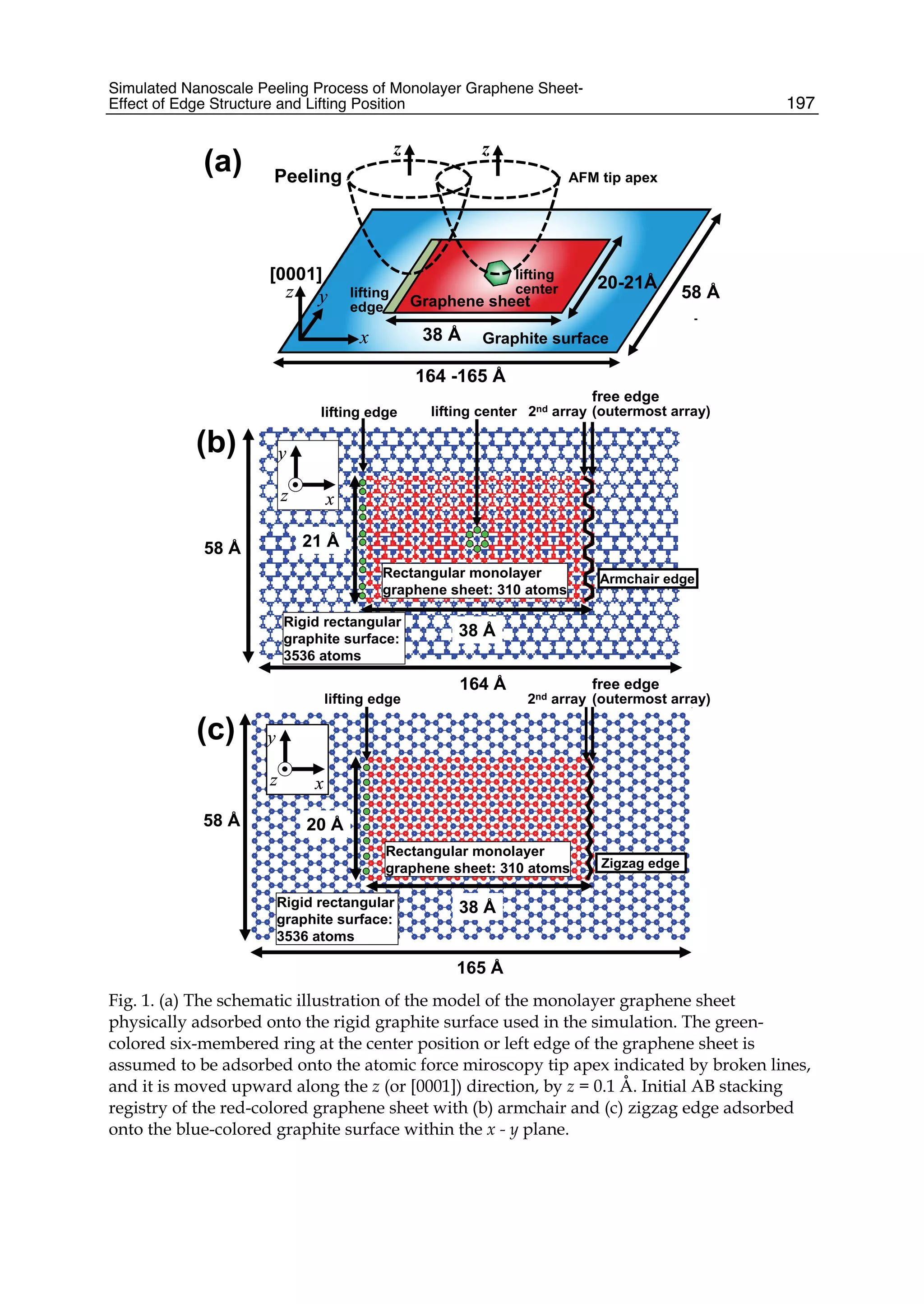 Simulated Nanoscale Peeling Process of Monolayer Graphene Sheet-
Effect of Edge Structure and Lifting Position 197
164 Å
x
y
z x
y
x
y
z x
y
58 Å 21 Å
38 Å
Rigid rectangular
graphite surface:
3536 atoms
Armchair edge
x
y
z x
y
x
y
z x
y
165 Å
58 Å
38 Å
20 Å
Rectangular monolayer
graphene sheet: 310 atoms
Rigid rectangular
graphite surface:
3536 atoms
Zigzag edge
Rectangular monolayer
graphene sheet: 310 atoms
(b)
(c)
free edge
(outermost array)
lifting edge
2nd arraylifting edge
free edge
(outermost array)2nd array
lifting center
164 -165 Å
58 Å
38 Å
20-21Å[0001]
z y
x
z y
x Graphite surface
Graphene sheet
Peeling
lifting
center
AFM tip apex
(a)
z z
lifting
edge
Fig. 1. (a) The schematic illustration of the model of the monolayer graphene sheet
physically adsorbed onto the rigid graphite surface used in the simulation. The green-
colored six-membered ring at the center position or left edge of the graphene sheet is
assumed to be adsorbed onto the atomic force miroscopy tip apex indicated by broken lines,
and it is moved upward along the z (or [0001]) direction, by z = 0.1 Å. Initial AB stacking
registry of the red-colored graphene sheet with (b) armchair and (c) zigzag edge adsorbed
onto the blue-colored graphite surface within the x - y plane.
 