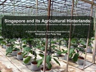 Singapore and its Agricultural Hinterlands: Urban Demand Impact on the Environmental Behaviour of Malaysian Vegetable Farmers A Graduate Research Seminar presentation by  November Tan Peng Ting 