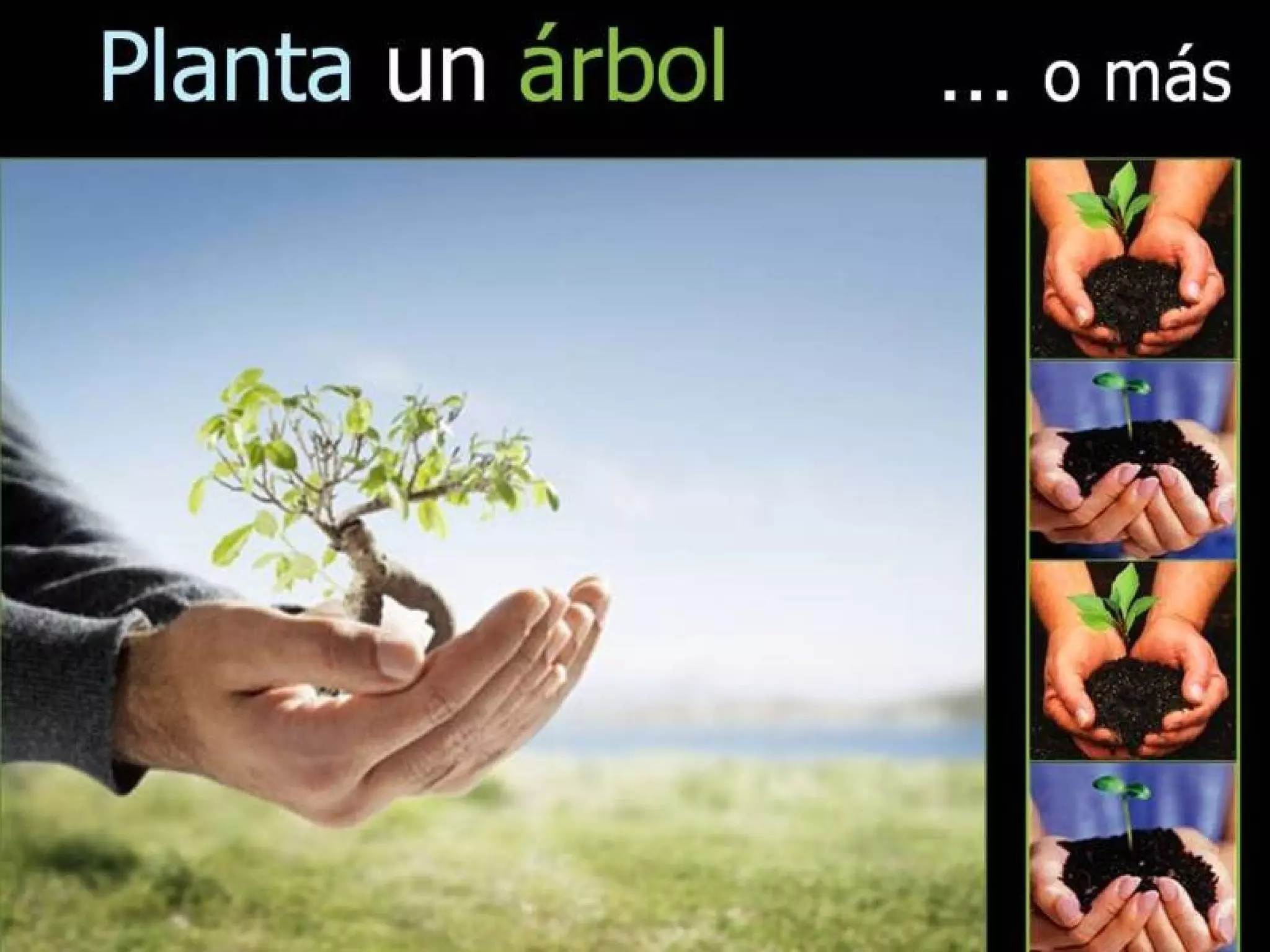 Grsb xarxa calent-pam-