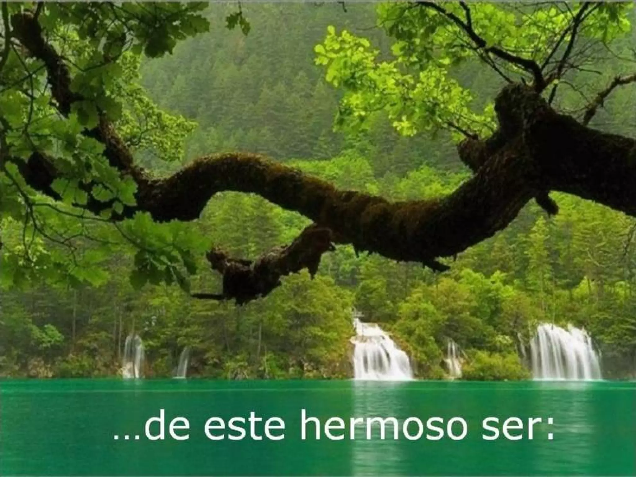 Grsb xarxa calent-pam-