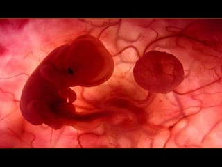 Grsb xarxa tierra-pptminimizer-