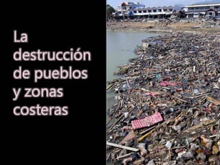 Grsb xarxa tierra-pptminimizer-