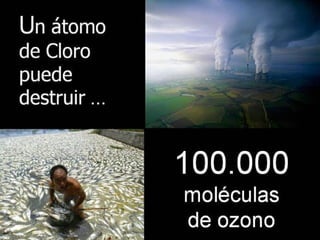 Grsb xarxa tierra-pptminimizer-