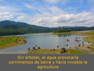 Grsb xarxa tierra-pptminimizer-