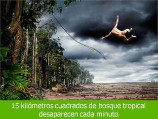 Grsb xarxa tierra-pptminimizer-