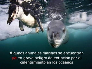 Grsb xarxa tierra-pptminimizer-